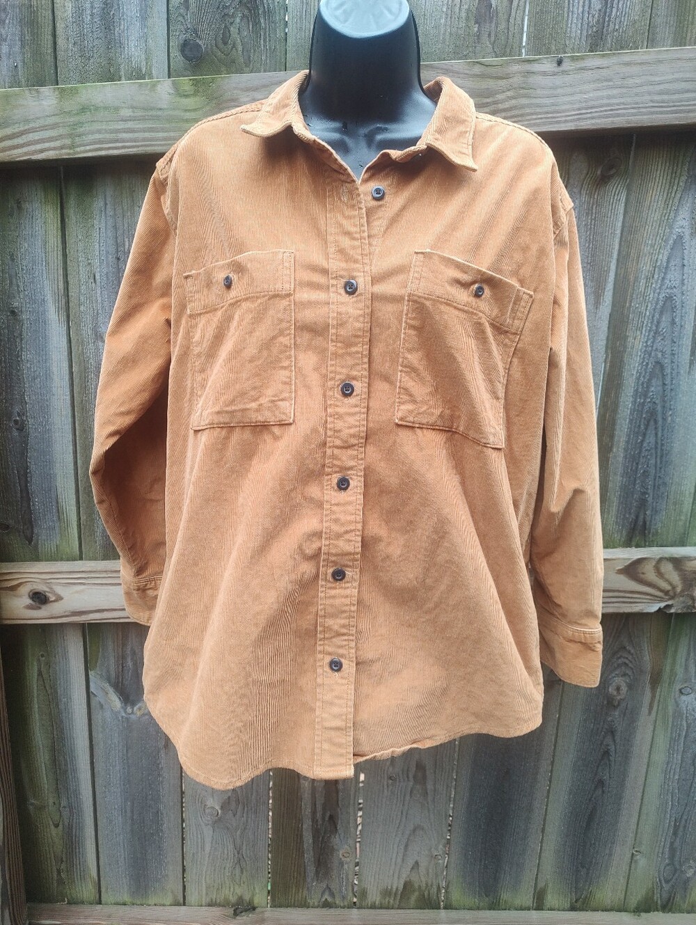 🏵️ Everlane Mens Tan Corduroy Button Down Casual Shirt Small